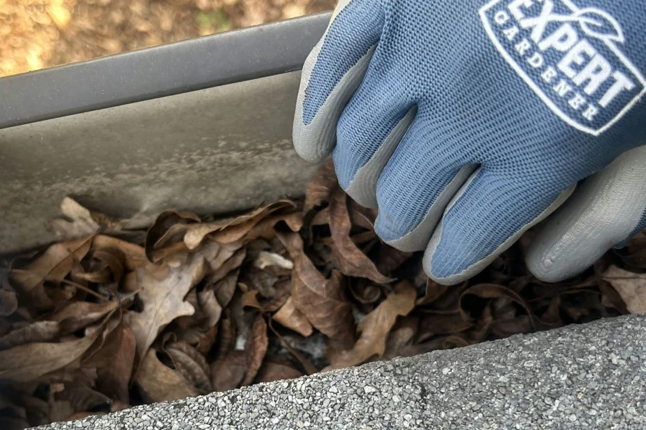 Gutter Cleaning Covington KY