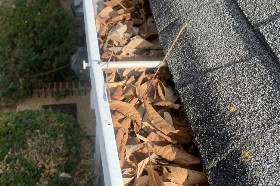 Gutter Cleaning Covington KY